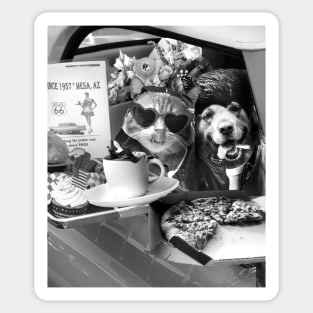 Dog Cat Drive-in With Pizza Coffee Flowers Sticker